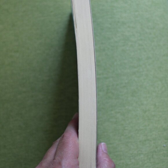 Paperback book: The Last To Die by Kelly Garrett - Picture 4 of 7